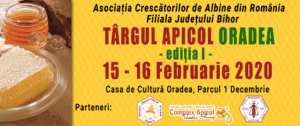 Banner Oradea 2020